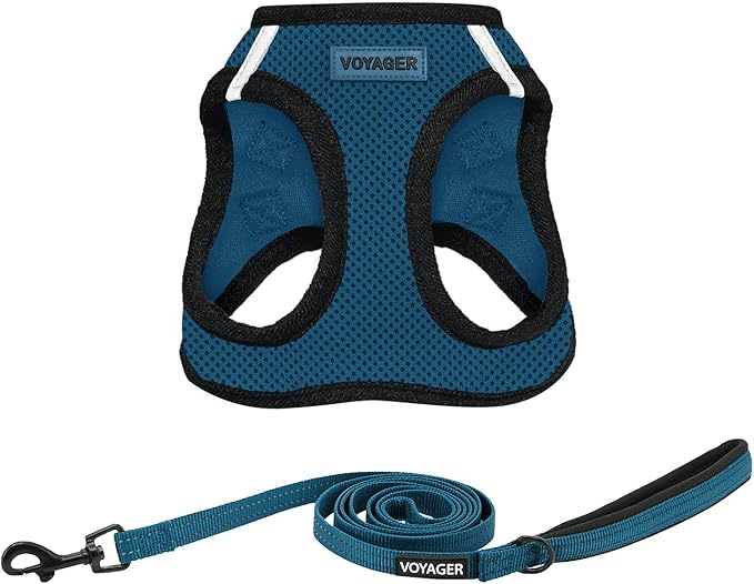 Best Pet Supplies Voyager Step-in Air All Weather Mesh Harness and Reflective Dog 5 ft Leash Combo with Neoprene Handle, for Small, Medium and Large Breed Puppies - Blue/Black Trim, Medium