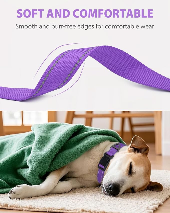 Joytale Reflective Dog Collar, Adjustable Nylon Pet Collar with Quick-Release Buckle for Medium Dogs, Purple, M