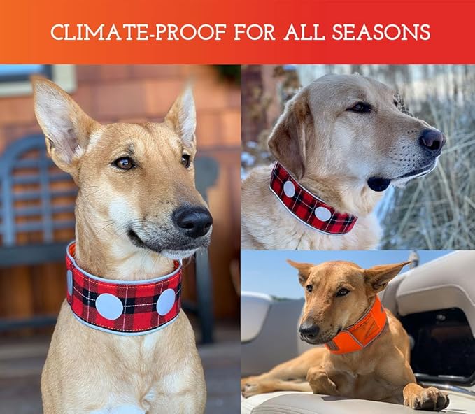 SPOT THE DOG! Reflective Dog Collar - Adjustable Pet Collars, Safe, Durable, Comfortable Dog Walking Accessories for Medium Dog, Hunting Dog, Puppy, Boy, Girl Dog Collars (Blaze Orange, Red Plaid, M)
