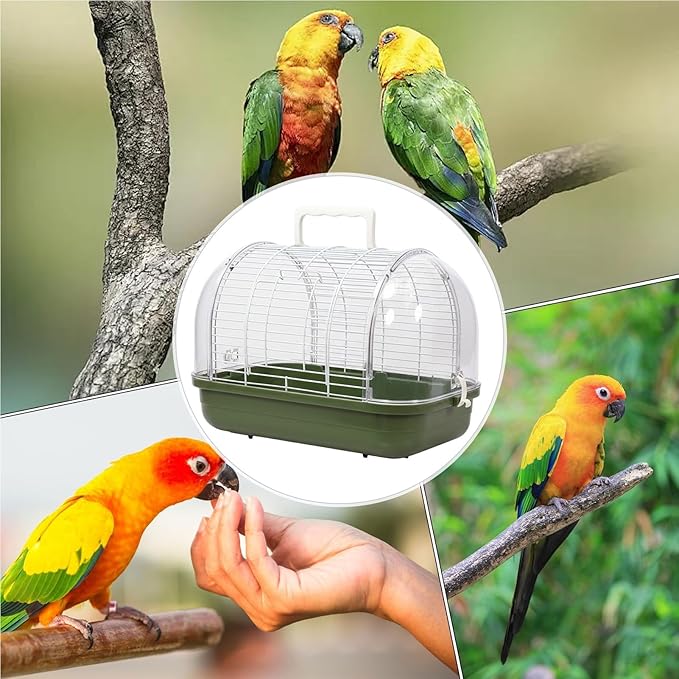 Transparent Small Bird - Travel Carrier Full View, Cockatiel Parakeet Conure, Indoor Outdoor Balcony Use, Living Room Park Accessory, Canary Lovebird Portable Home, Bird Travel for