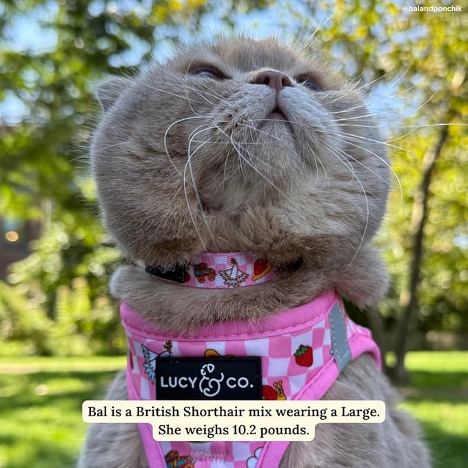 Lucy & Co. Cutie Patootie Breakaway Cat Collar with Bell – Designer Print Adjustable Safety Collar for Cats, Kittens & Small Dogs, Lightweight Pet Collar for Boy & Girl Cats – Large