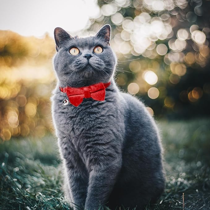 Sliverdew 2 Pcs Safety Cat Collar with Bell Breakaway Bow Tie Cat Collar Adjustable Velvet Kitten Collars Small Puppy Bowtie Collar for Wedding Birthday Party