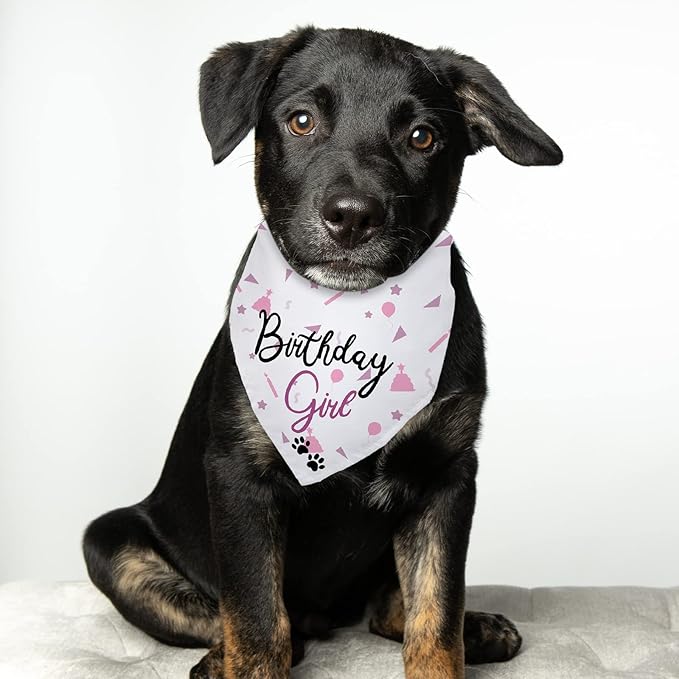 Dog Birthday Girl Happy Birthday Dog Bandana for Girls Pet Accessories for Pet Lovers Bandana for Puppy Girl Birthday