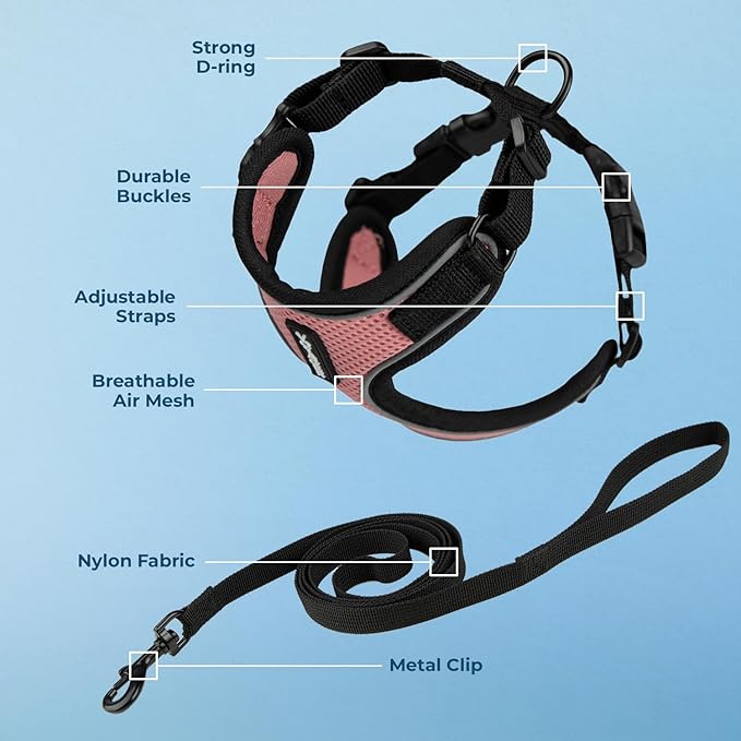 Voyager Escape-Proof Step-in Lock Cat Harness & 5ft Neoprene-Handle Leash Set All-Weather Mesh with Reflective Stitching for Small to Large Cats by Best Pet Supplies, Pink/Black Trim, S