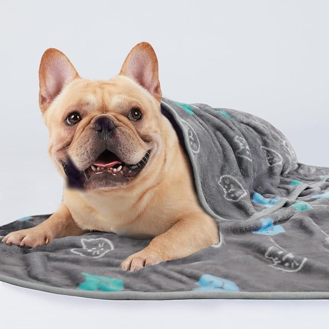 1 Pack 3 Blankets Super Soft Fluffy Premium Cute Cat Pattern Pet Blanket Flannel Throw for Dog Puppy Kitten Blue/Cyan/Grey Large(41x31 inch)