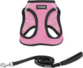 Best Pet Supplies Voyager Step-in Air All Weather Mesh Harness and Reflective Dog 5 ft Leash Combo with Neoprene Handle, for Small, Medium and Large Breed Puppies - Pink Base,S