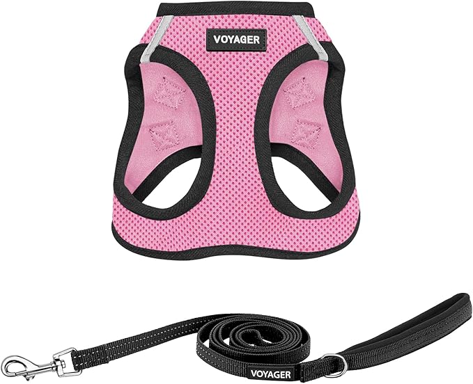 Best Pet Supplies Voyager Step-in Air All Weather Mesh Harness and Reflective Dog 5 ft Leash Combo with Neoprene Handle, for Small, Medium and Large Breed Puppies - Pink Base,S