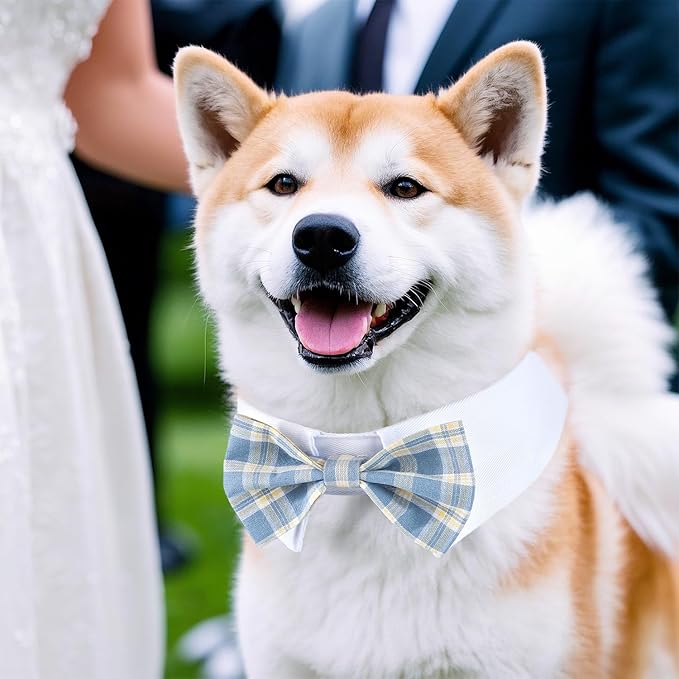 Segarty Dog Bow Tie, Adjustable Blue Plaid Bowtie Collar for Dogs Neck Girth 12.6-15.7in, Dog Neck Tie Tuxedo Comfortable Cotton Boy Pets Grooming Accessory for Formal Wedding Holiday Birthday Party