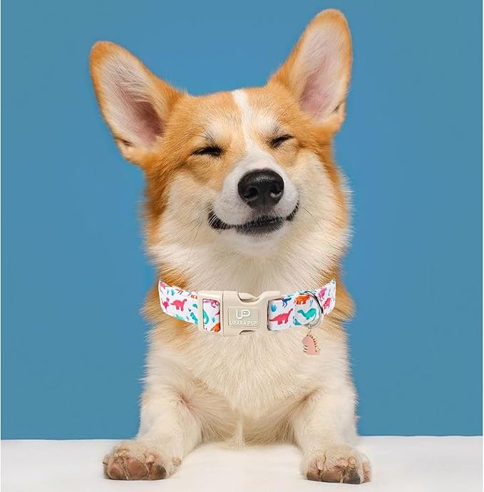 Summer Dog Collar, Adorable Dinosaur Cotton Dog Collar with Quick Release, Gift Dino Collars for Small Medium Large Boys Dogs Cute Durable Comfortable Pet Collars