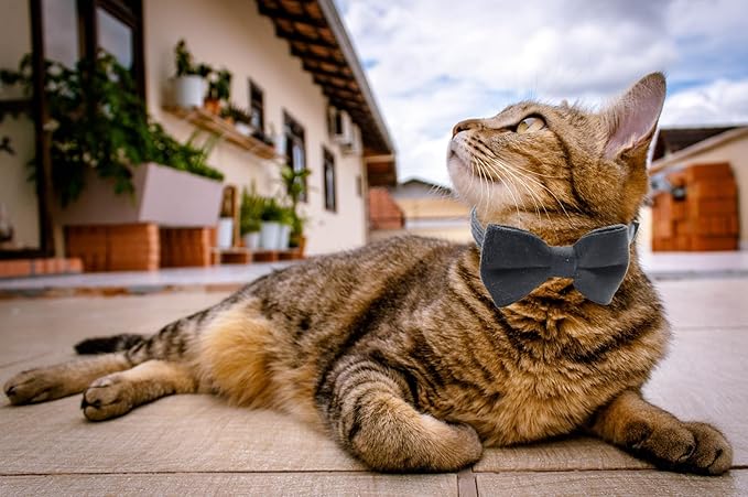Cat Collar Breakaway with Bell and Removable Bow Tie Safety Buckle Velvet Adjustable 7-11 inches for Kitten Cats (Black)