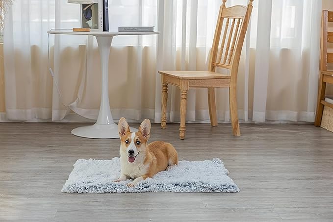PJYuCien Dog Blankets for Small Dogs Washable - Fluffy Fuzzy Cat Blanket for Couch, Puppy Throw for Furniture with Polyester Fleece, Super Soft Plush for Pet Kitten Doggy, Grey, 24" x 32"