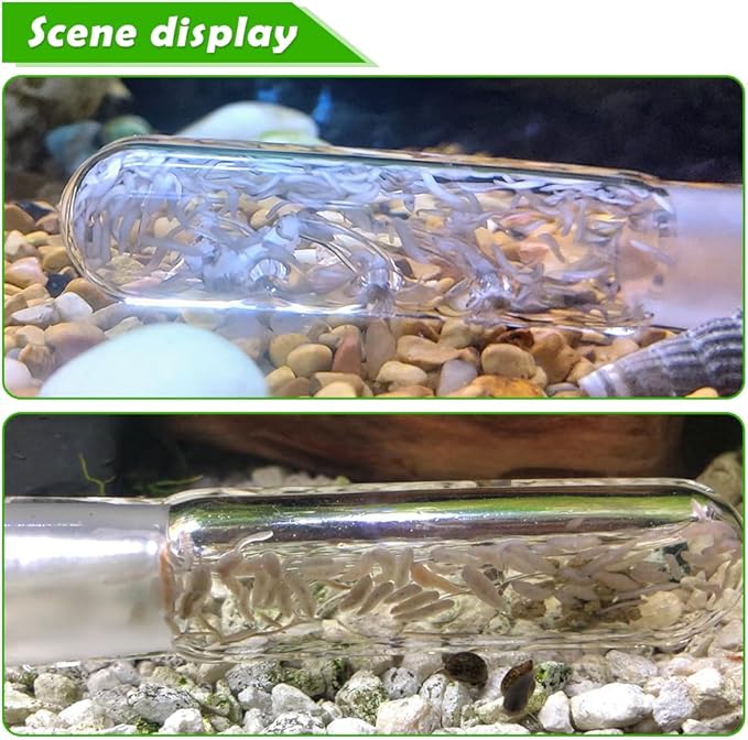 2 Pack Clear Glass Planaria Trap Catch Trap Aquarium Cleaning Supply for Dwarf Shrimp Cherry Shrimp (3 Holes)