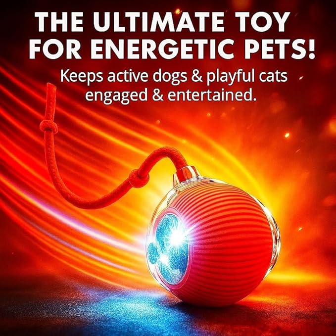 Interactive Electric Automatic Rolling Moving Rechargeable Self Play Stimulation Toy,Smart Pet Chase with Speedy Tail Rope for Bored Indoor Cats (Purple)