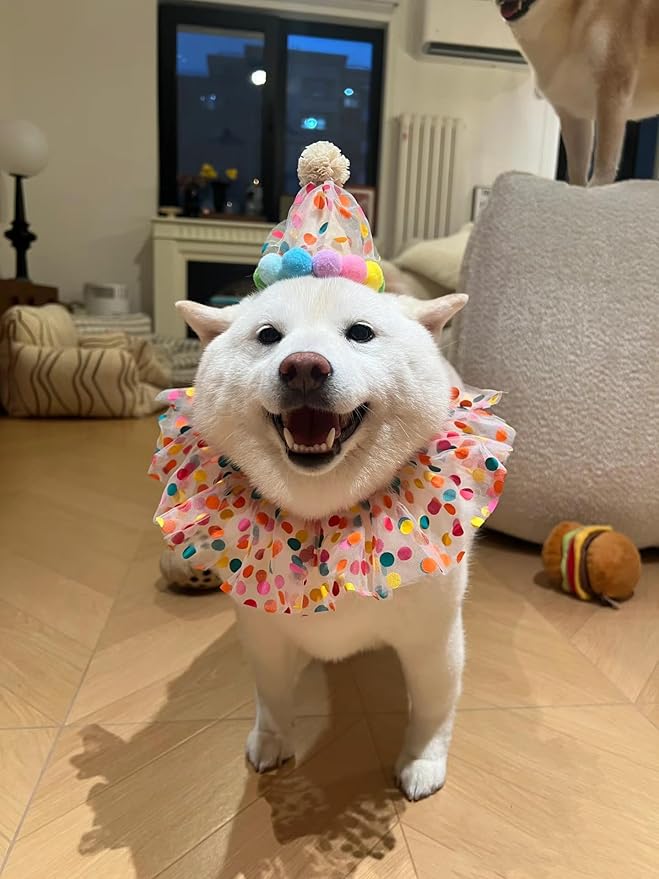 Cat Dog Princess Costumes Puppy Cat Birthday Bandana Scarf and Party Hat Cute Lace Dog Bib Scarf and Christmas Hat Doggy Birthday Party Decorations Set