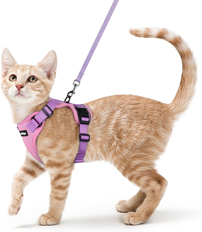 rabbitgoo Cat Harness and Leash for Walking, Escape Proof Soft Adjustable Vest Harnesses for Cats, Easy Control Breathable Reflective Strips Jacket, Pink & Purple, S