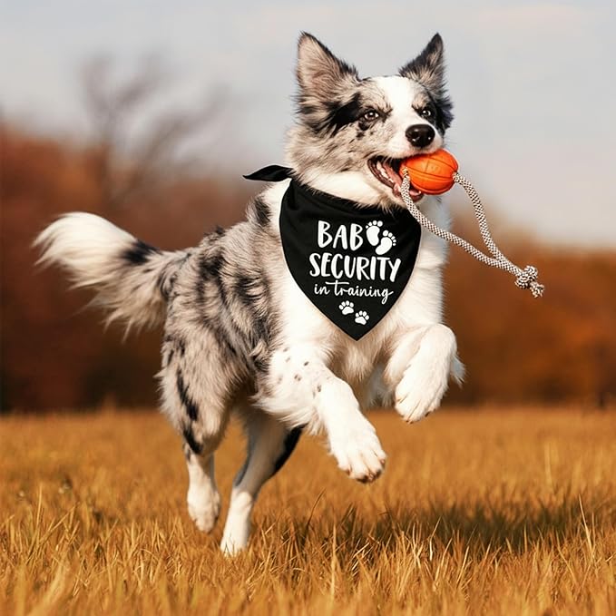 Baby Security in Training Dog Bandana Pet Scarf Pregnancy Announcement Dog Bandanas for Dogs Pet Accessories for Dogs Lovers Pregnancy Reveal Ideas (Black)