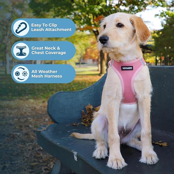 Best Pet Supplies Voyager Step-in Air Harness - All Weather Mesh, Reflective, No Pull Harness for Dogs, Cats - Secure with Hook & Loop Fastener, Buckle, Double D-Rings - Pink, L