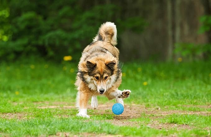 Snug Rubber Dog Balls for Small and Medium Dogs - Tennis Ball Size - Virtually Indestructible (3 Pack - Cool)