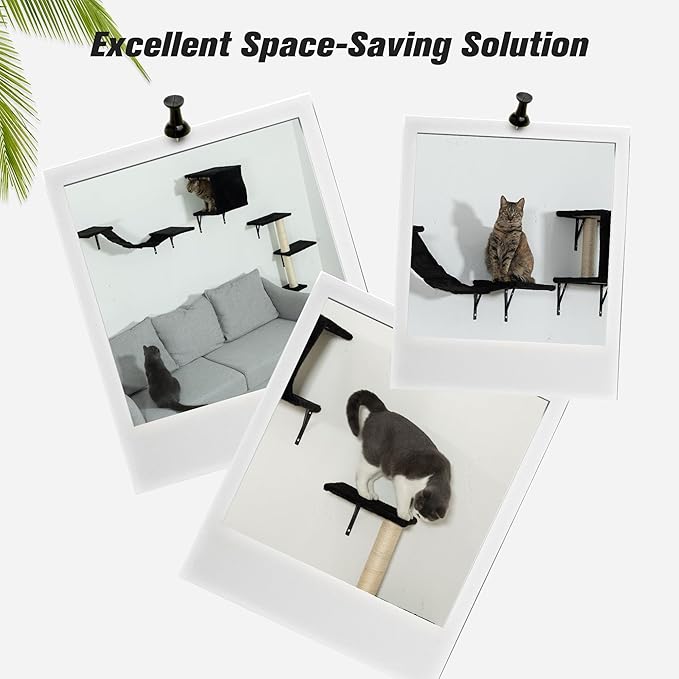 COZIWOW Wall Mounted Cat Furniture, Cat Wall Shelves and Perches, Floating Cat Shelves for Wall Set of 5 (Black)
