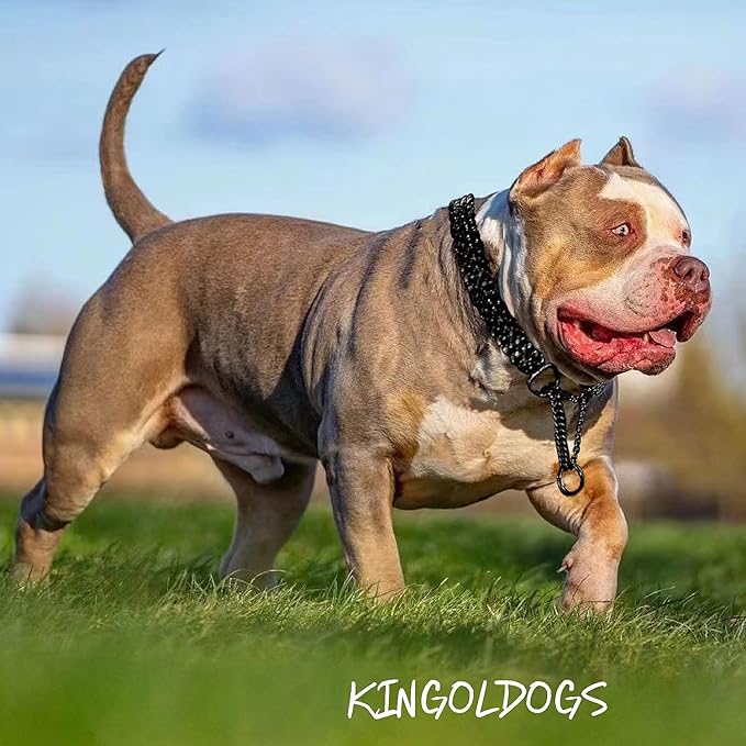 Black Dog Chain Collar Stainless Steel Black Dog Collar Adjustable Walking, Metal Cuban Link Dog Collar Chew Proof Double Row Chain Dog Collar for Large Small Medium Dogs