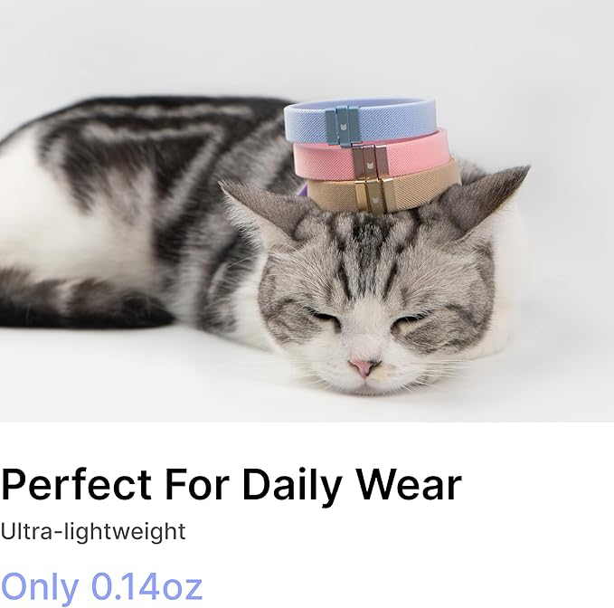 Safety Cat Collar - U.S. IDA Gold Awarding Design, Stretch Elastic Quick Release, Non Breakaway - Light Weight for Kitten, Neck Fit 5.9'-11.8' for All Small Large Cat,S(Glacier Silver)