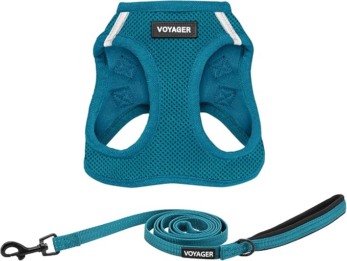 Best Pet Supplies Voyager Step-in Air All Weather Mesh Harness and Reflective Dog 5 ft Leash Combo with Neoprene Handle, for Small, Medium and Large Breed Puppies - Set (Turquoise), S