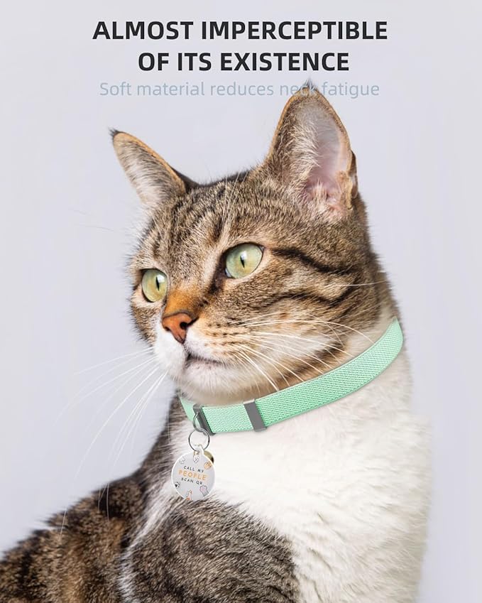 Cat Collar with Bell for Girl & Boy Cats - Non Breakaway Stretch Elastic Quick Release, Lightweight Kitten Collar, Adjustable & Durable Pet Accessories, Gifts for Cat Lovers, Green