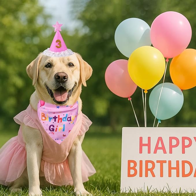 Dog Boy Girl Birthday Party Hat, Dog Birthday Party Supplies, Doggie Birthday Bandana Set with Numbers for Gaint and Extra Large Puppy (Pink)