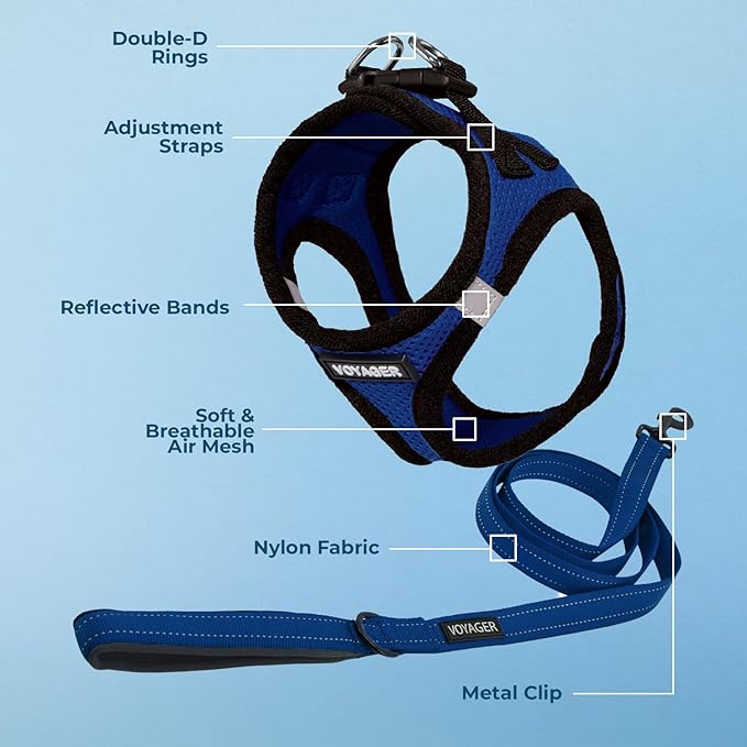 Best Pet Supplies Voyager Step-in Air All Weather Mesh Harness and Reflective Dog 5 ft Leash Combo with Neoprene Handle, for Small, Medium and Large Breed Puppies - Royal Blue/Black Trim, XX-Small