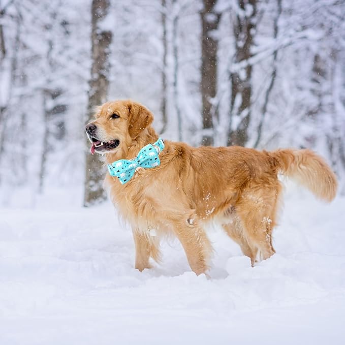 Dog Collar, Bow Collar Blue Bear Pattern Pet Collar Cute Bow Tie Soft Girl Boy Dog Collars with Metal Buckle for Medium Dogs