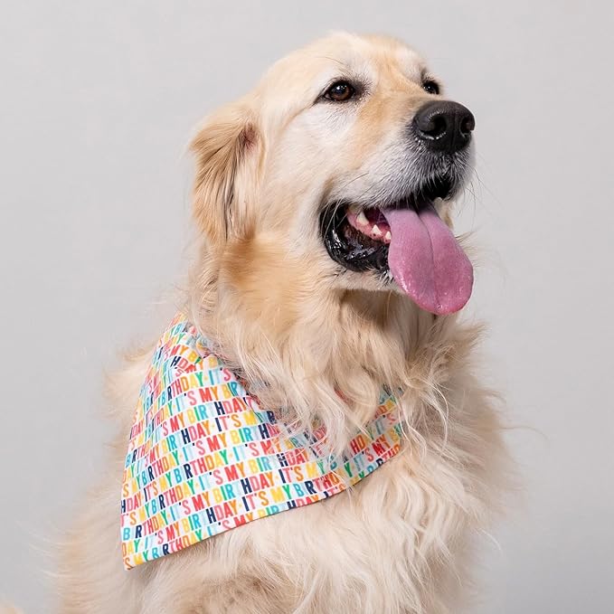 Birthday Dog Bandanas 1 Pack, Colorful HBD Dog Scarfs for Boy and Girl, Pet Scarves for Boy and Girl Bandanas for Small Medium Large Dogs (It's My Birthday, One Size)