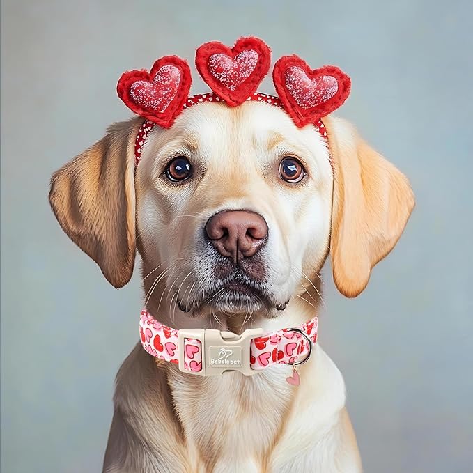 Valentines Dog Collar for Large Dogs - Pink Valentine Hearts Dog Collars, Girly Love Female Dogs Collars, Lightweight Adjustable Cute Puppy Collar with Quick-Release Buckle L