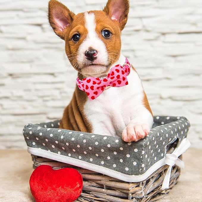 Lionheart Glory Valentine's Day Dog Collar with Bowtie for X-Large Dogs
