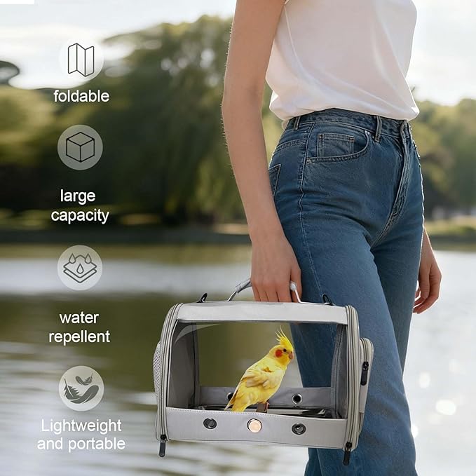 Small Bird Travel Carrier Cage for Long Tail BirdCockatiel Parakeet Parrot, Includes Metal Tray Soft Mat and Wooden Standing Perch, Hands Free Lightweight Clear 2 Windows