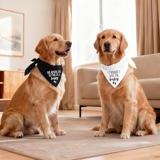 Baby Security Dog Bandana - Pregnancy Reveal Accessory for Dogs, Pets Triangle Scarf for Small Medium Large Dogs, Baby Announcement Pet Scarf Pet Accessories for Dog Lovers, 2 Packs