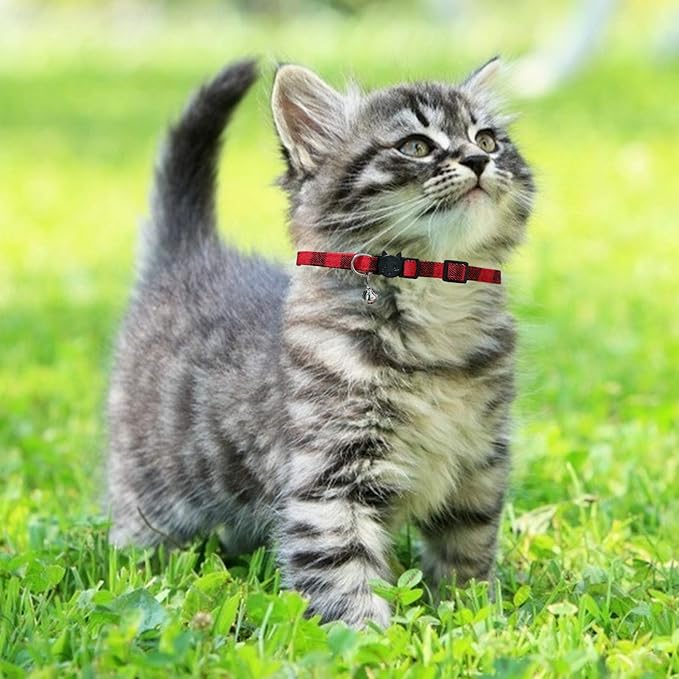 MJIYA Stylish Plaid Cat Collars with Bells - Adjustable Breakaway Kitten Collar (8-12 Inches) - Cute Collar for Girls and Boys - Pet Gift and Accessory (Red, 1 Pack)