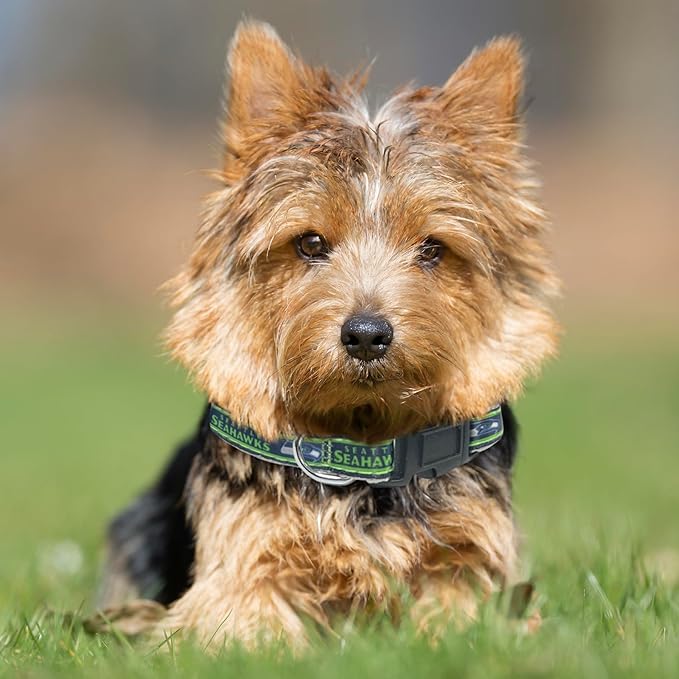 Pets First NFL Seattle Seahawks Licensed PET COLLAR, Medium - Heavy-Duty, Strong, and Durable Dog Collar. Available in 31 Football Teams and 4 Sizes