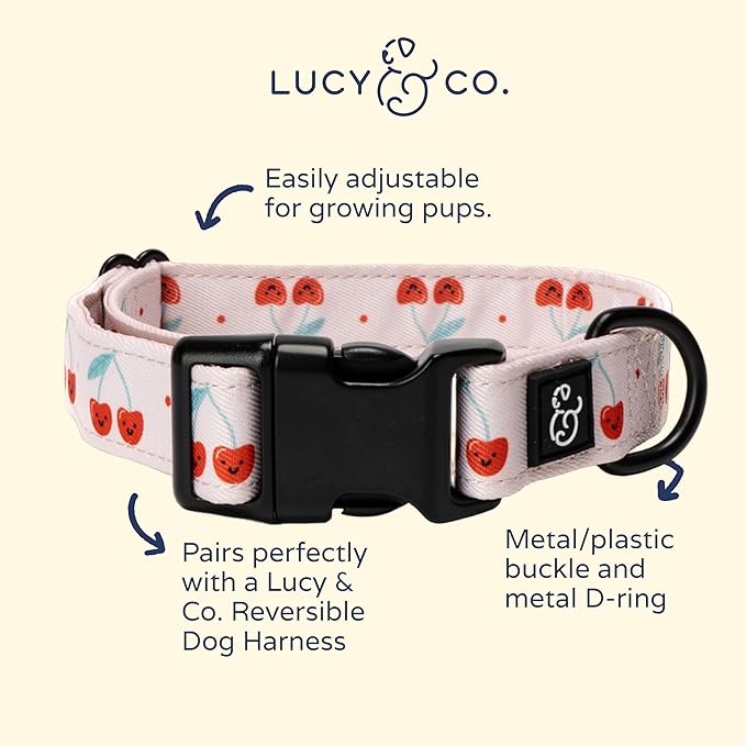 Lucy & Co. Cheery Cherries Dog Collar - Durable Lightweight Designer Collar for Pets - Adjustable Metal Safety Buckel - Red Gingham Cherries – Medium