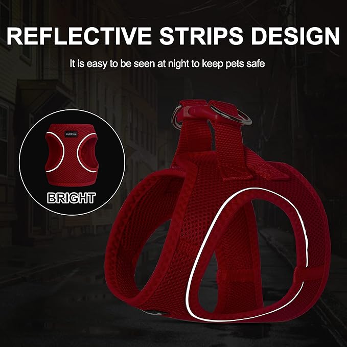 PetiFine Extra Small Step in Dog Harness and Leash Set, Cat Harness and Leash Escape Proof, All Weather Mesh Reflective, Step-in Air Vest Harnesses for Puppy(XXXS, Red)