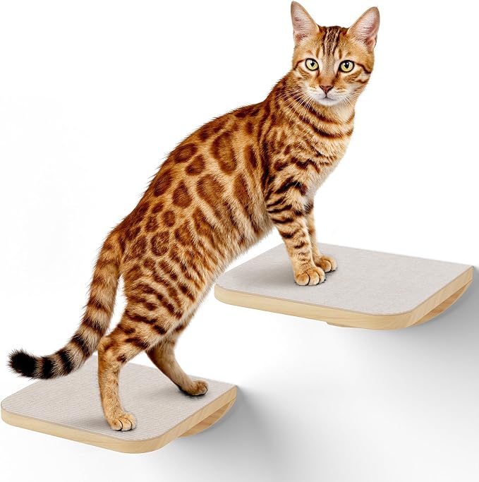 Wall Mounted Cat Steps 2 Pack – Square Wood Cats Shelves with Felt Cushions for Climbing, Jumping & Resting