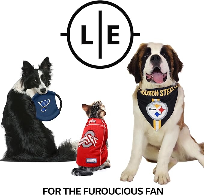 Littlearth NFL Denver Broncos Pet Bandana