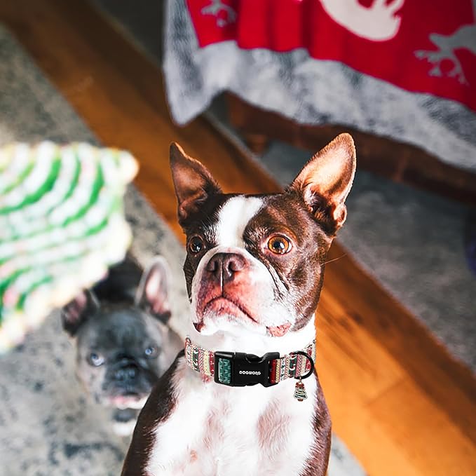 DOGWONG Christma Dog Collar, Classic Cute Red Green Christmas Tree Dog Collar for Boy and Girl Dogs, Strong Plastic Buckle Dog Collars for Large Dogs,L