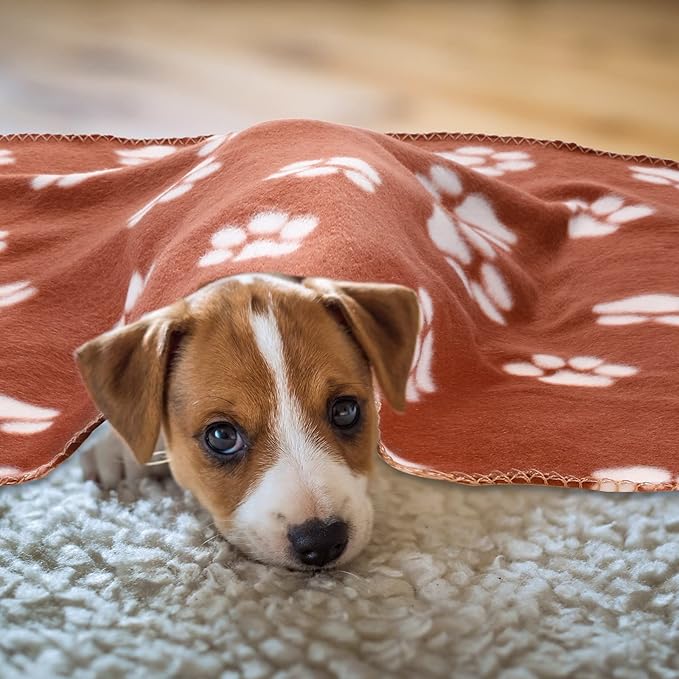 Tatuo 10 Pieces Pet Blankets with Paw Print Dog Cat Fleece Blankets Soft Warm Sleep Mat Pad Bed Cover for Kitten Puppy and Other Small Animals, 24 x 28 Inch(Vibrant Color)