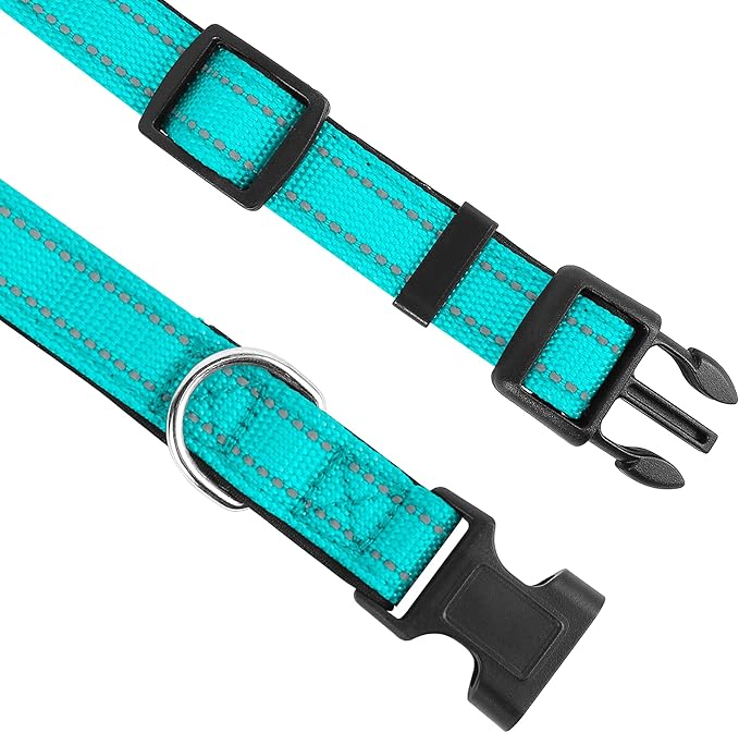 Reflective Dog Collar, Adjustable Soft Neoprene Padded Nylon Pet Collars with Buckle for Small Dogs, Teal,S