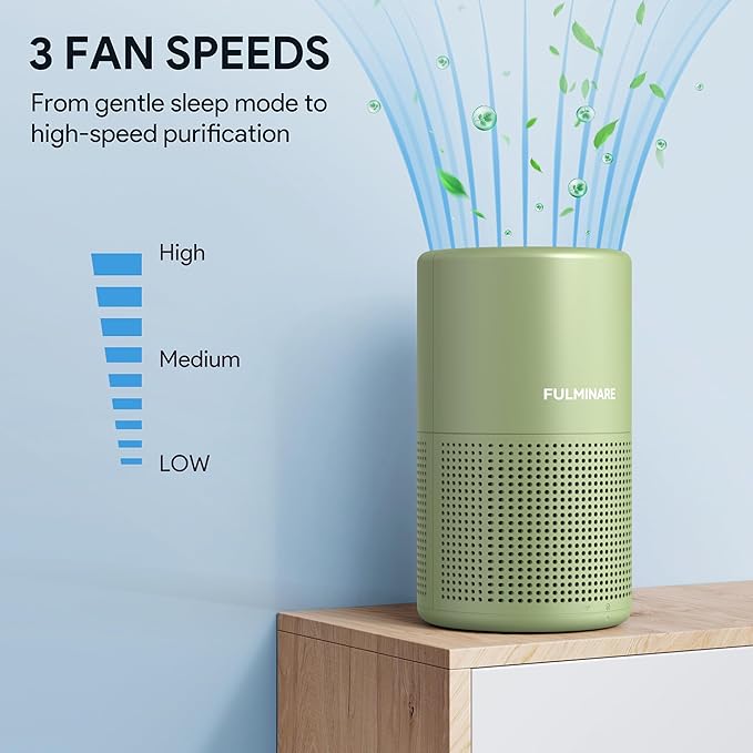 FULMINARE Air Purifiers for Home Bedroom H13 HEPA Air Purifier, 3 Speeds, Timer, 24dB, Small Mini Air Purifier with Night Light, Sage Green