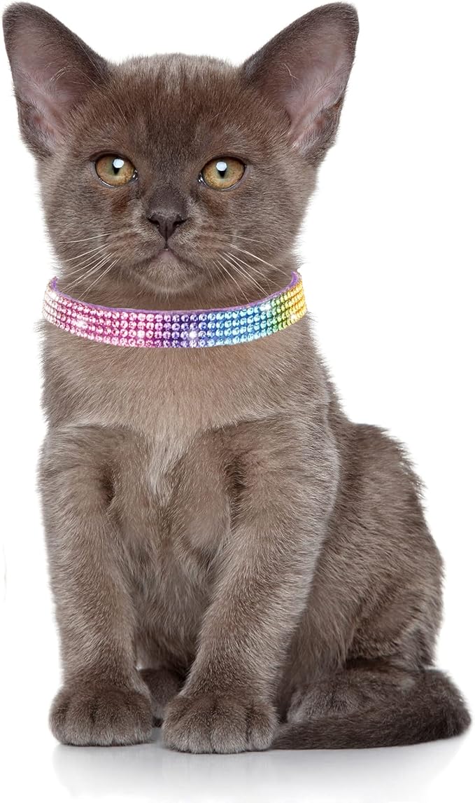 Solmoony Breakaway Cat Collars with Bell,Adjustable Safe Kitten Collar,Cat Collars for Girl Cats with Rhinestone Soft Velvet (Purple1)