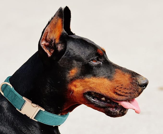 Soft Cotton Dog Collar with Metal Buckle Adjustable Heavy Duty Comfy Corduroy Collars for Small Medium Large Dogs,Dark Green,Large