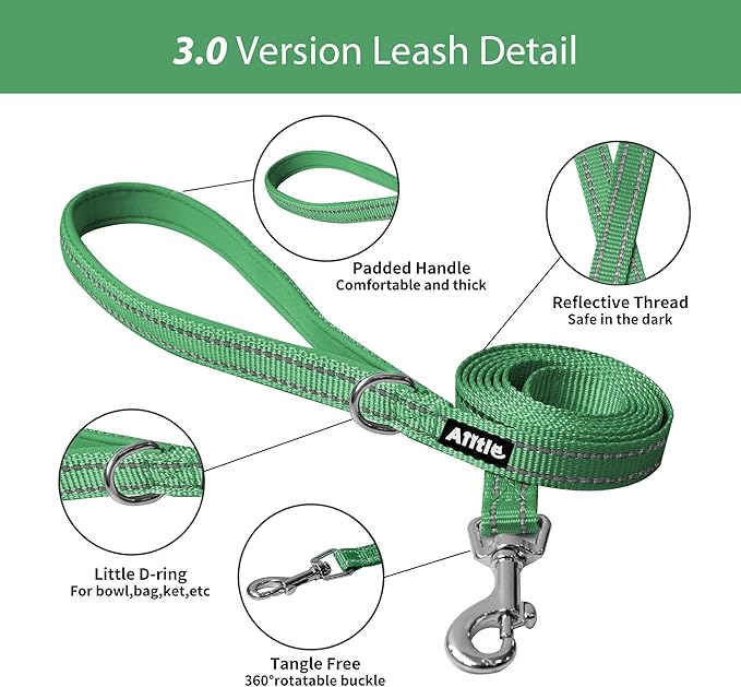 AIITLE Comfortable Dog Harness and Leash Set for Walking - Step in Vest Harness,Reflective Bands, Adjustable No Pull Puppy Essentials, for Small Dogs and House Cats Green XS
