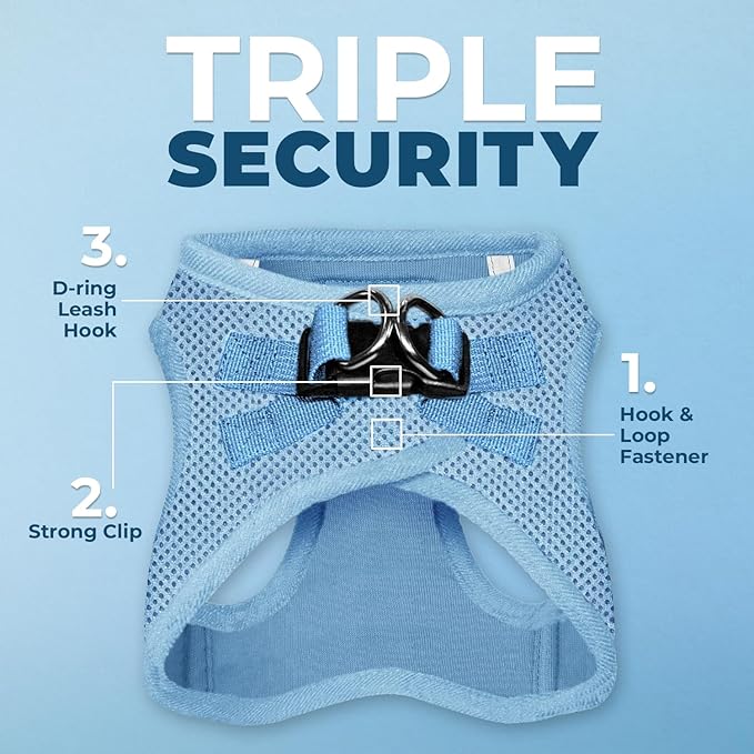 Best Pet Supplies Voyager Step-in Air All Weather Mesh Harness and Reflective Dog 5 ft Leash Combo with Neoprene Handle, for Small, Medium and Large Breed Puppies - Set (Baby Blue), XL