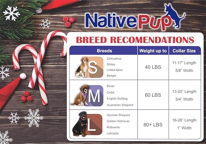 Native Pup Christmas Dog Collar- Winter Holiday Collars for Pets- Xmas Gift for Puppy- Santa, Reindeer, Snowman, Candy Cane, Red Green- Girl Boy- Small, Medium, Large Breeds (Candy Cane, Medium)